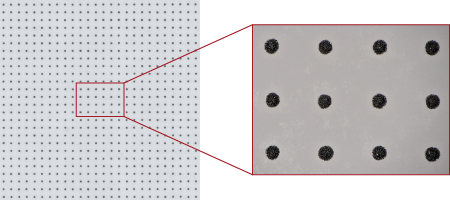 pasta solder